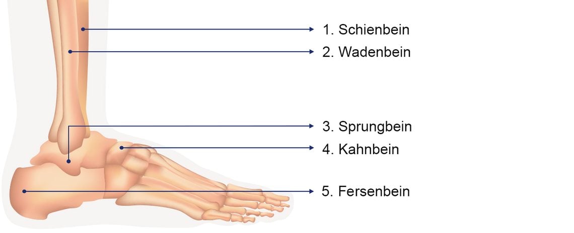 Sprunggelenksarthrose Gelenk