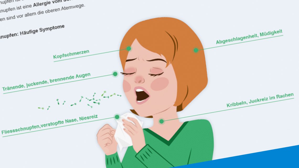 Pollenallergie: Infografik