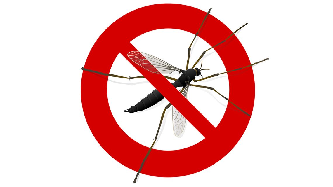 Tipps zum Mückenschutz