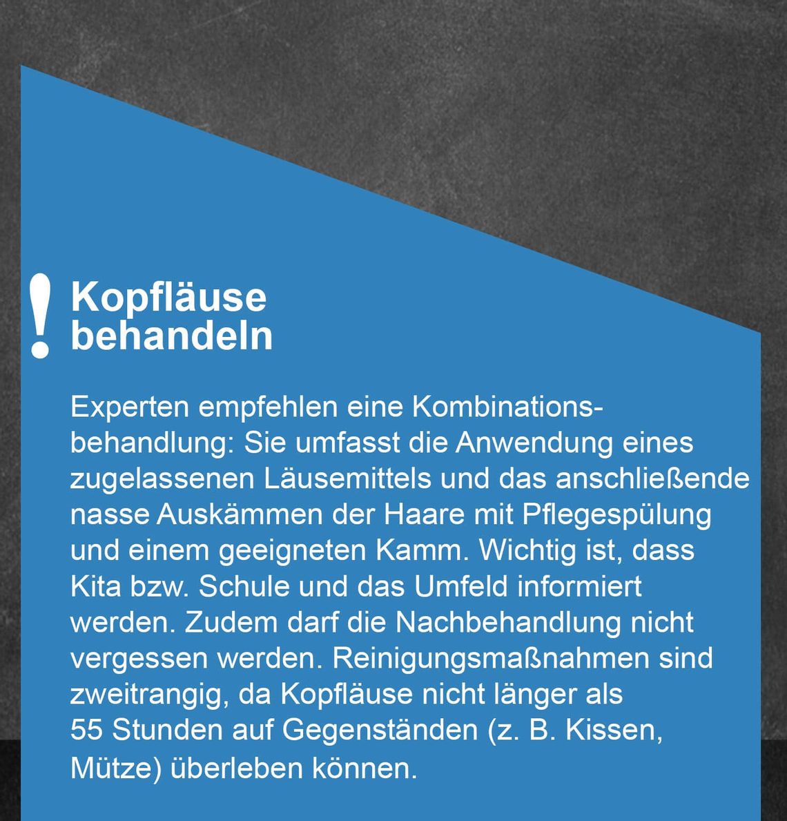 Kopfläuse: Steckbrief