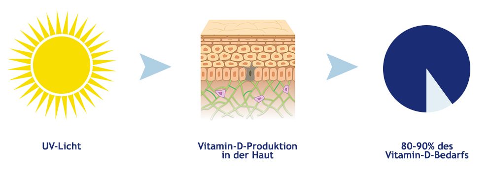 Körpereigene Vitamin-D-Produktion