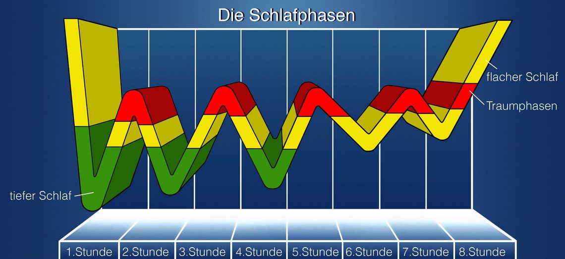 Schlafphasen