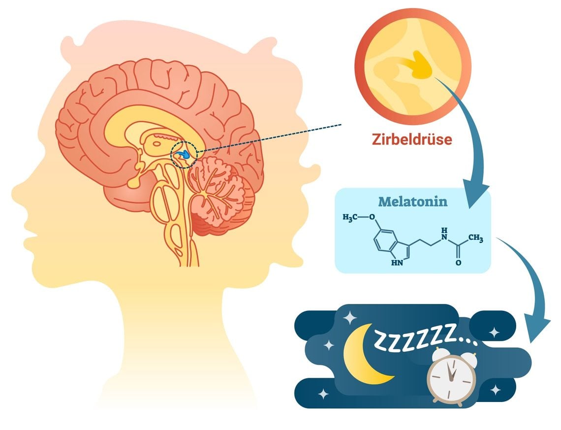 Melatonin: Der Taktgeber für die innere Uhr