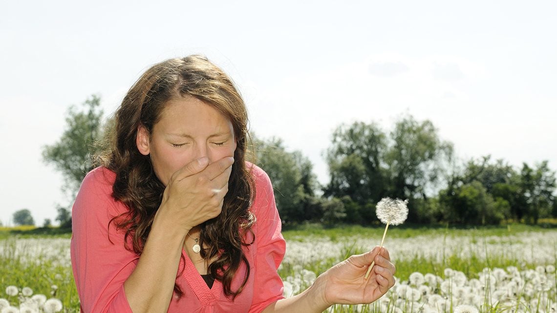 Allergischer Schnupfen / Heuschnupfen