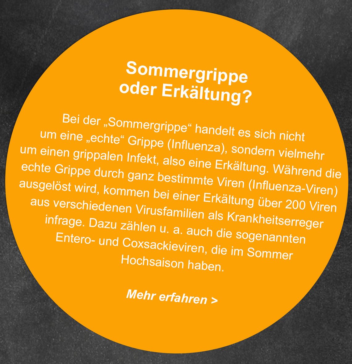 Steckbrief Sommergrippe