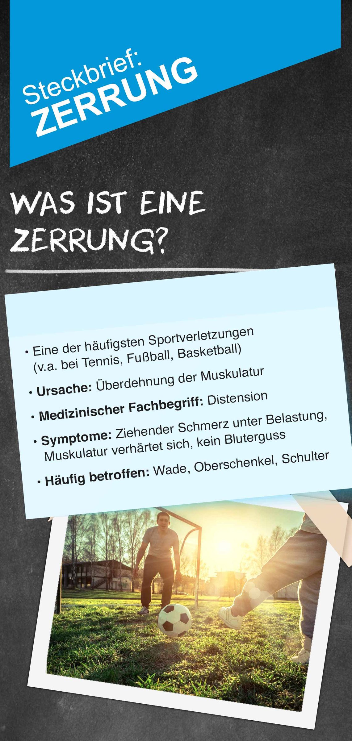 Zerrungen: Steckbrief